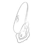 ROMP – SWITCH X CLITORAL STIMULATOR 6 LEVELS ORANGE Clitoral Sucking Vibrator | SEX Shop Ireland 21