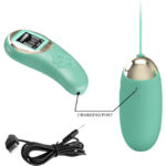 PRETTY LOVE – GREEN REMOTE CONTROL VIBRATING EGG MINE Balls, eggs and bullets | SEXstore.ie 14