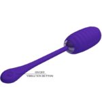 PRETTY LOVE – KIRK RECHARGEABLE VIBRATING EGG PURPLE Balls, eggs and bullets | SEXstore.ie 19